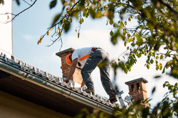 Best Roof Leak Repair  in South Boston, VA