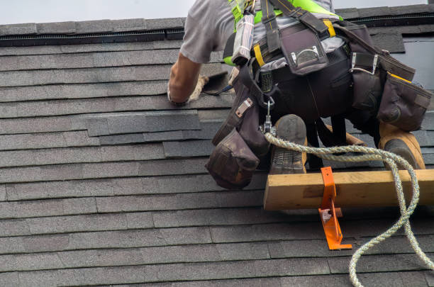 Best Roof Gutter Cleaning  in South Boston, VA