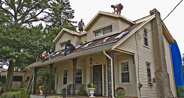 Roof Gutter Cleaning in South Boston, VA