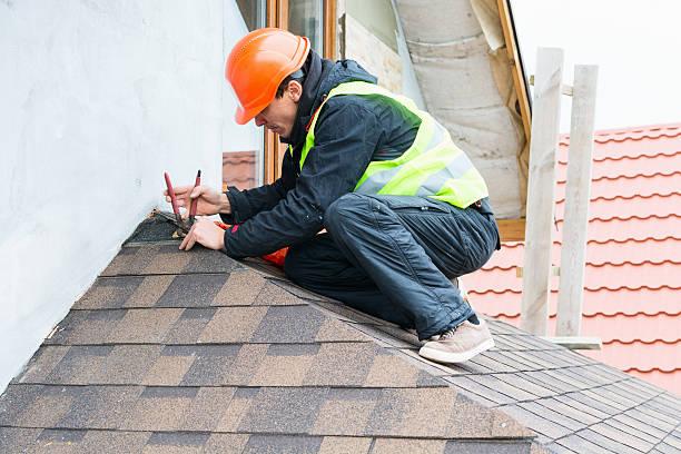 Best Roof Gutter Cleaning  in South Boston, VA
