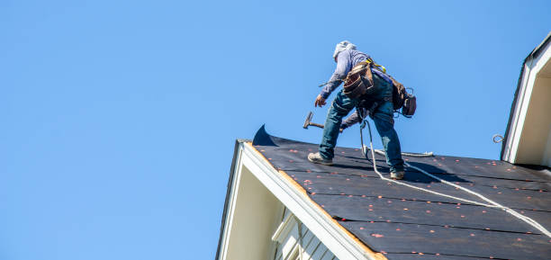 Best Metal Roofing Contractor  in South Boston, VA